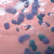 90% of kidsbrush longer with the disney magic timer app.